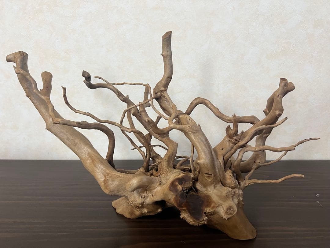 10116ブランチウッド　流木　アクアリウム 沈水確認済