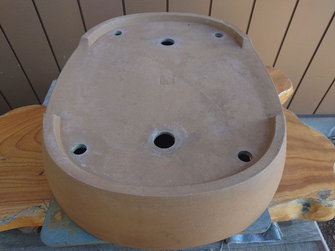 盆栽　鉢　角山　幅56.2cm