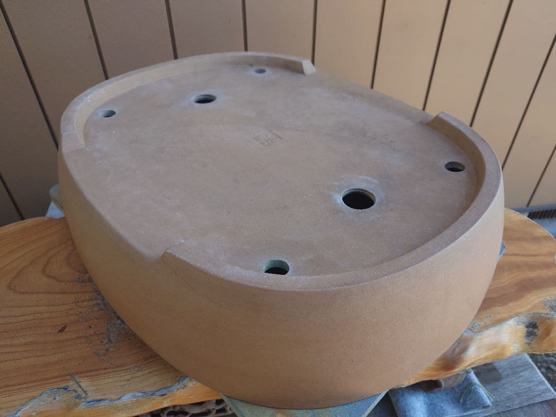 盆栽　鉢　角山　幅56.2cm