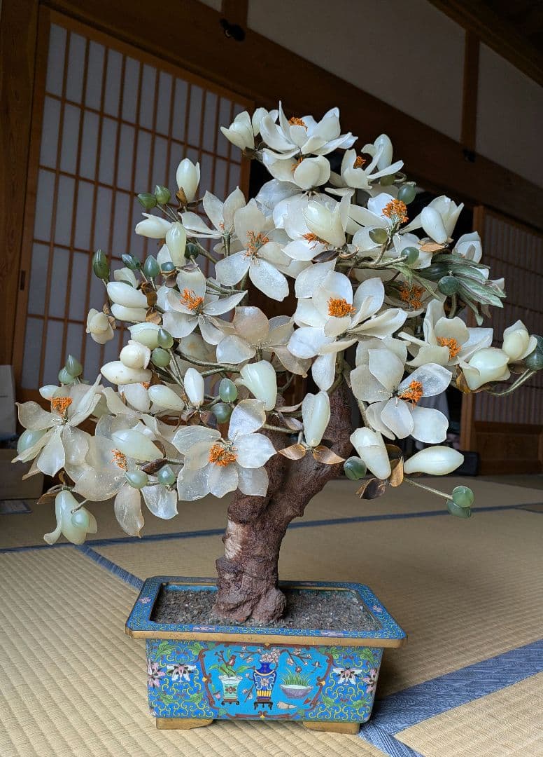 白玉 、玉蘭中型 置物