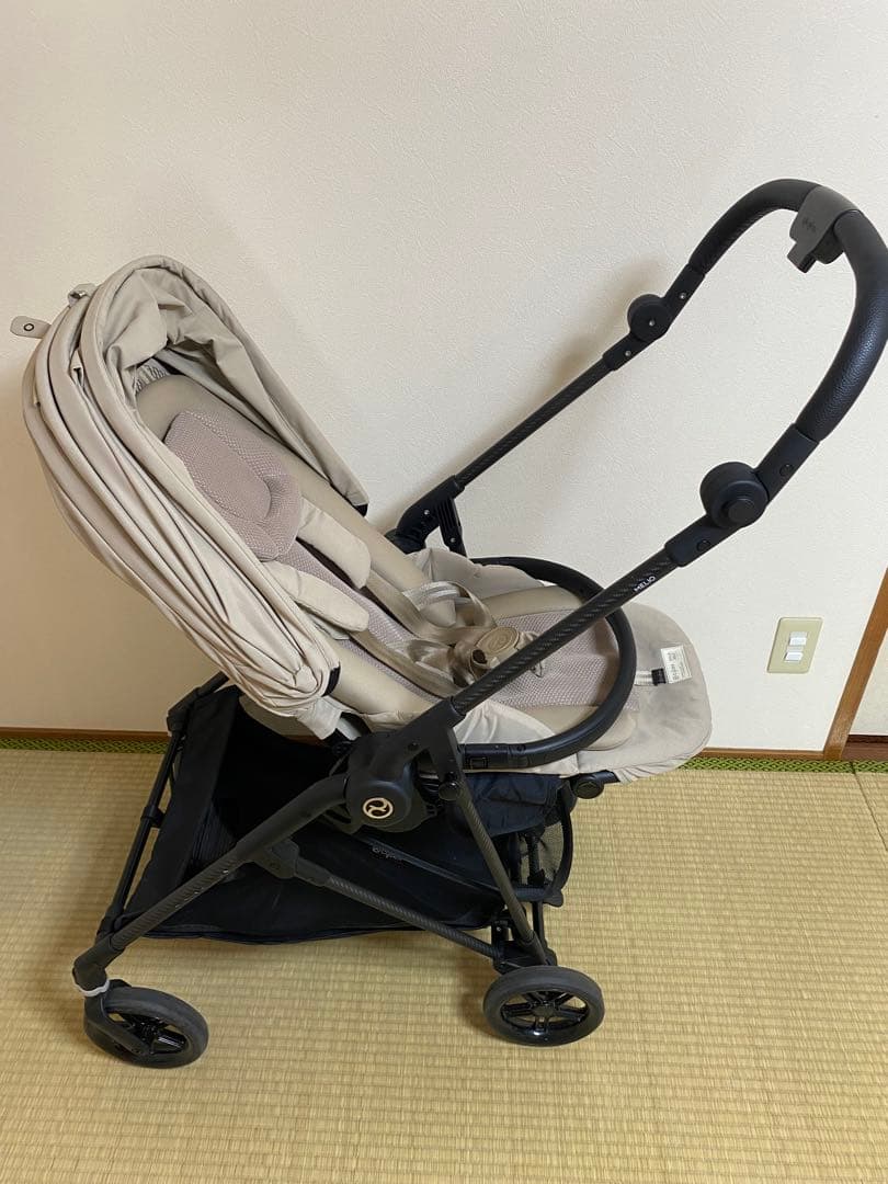 サイベックス　メリオカーボン2024