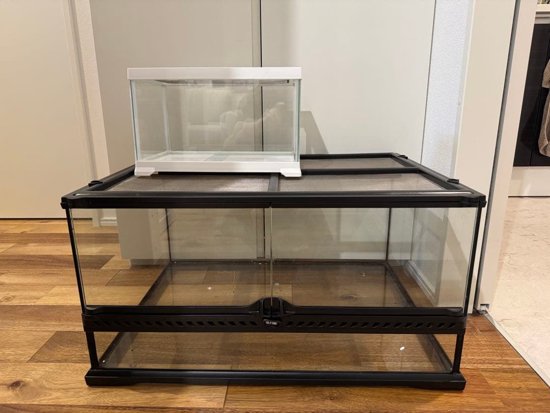 グラステラリウム 6030 PT2604 GEX（ジェックス）