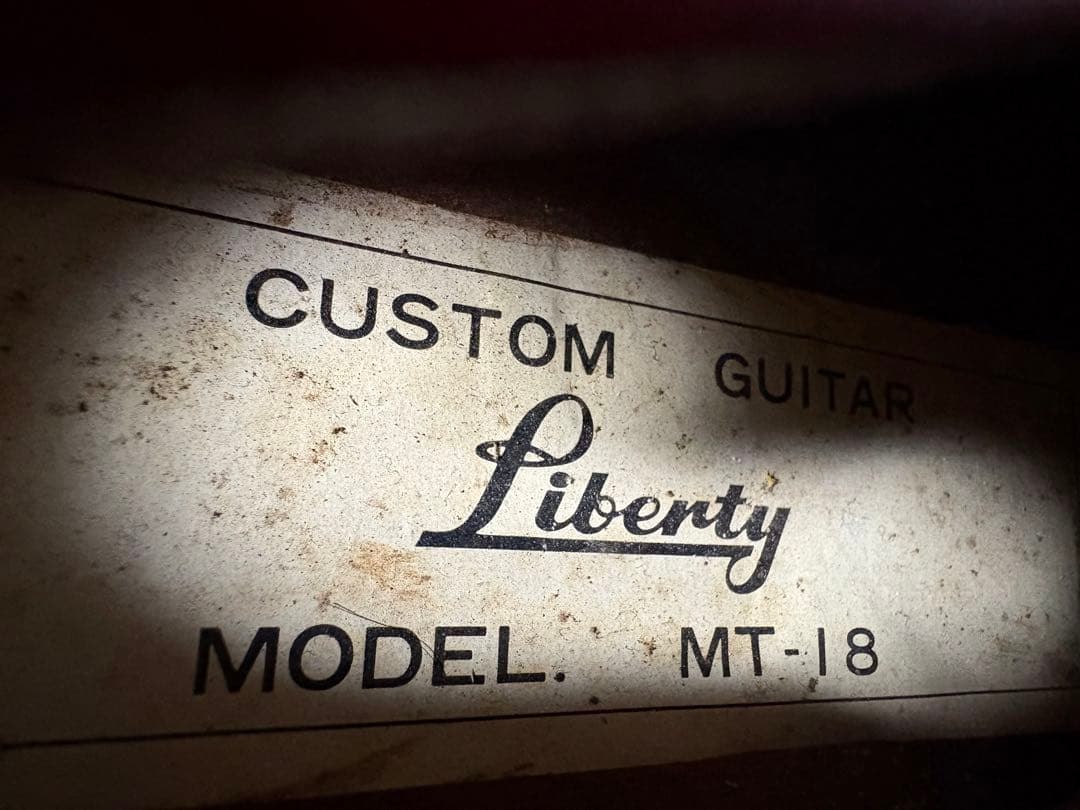 Liberty エレキギター　MT-18ソフトケース付き良品　1904-02-1