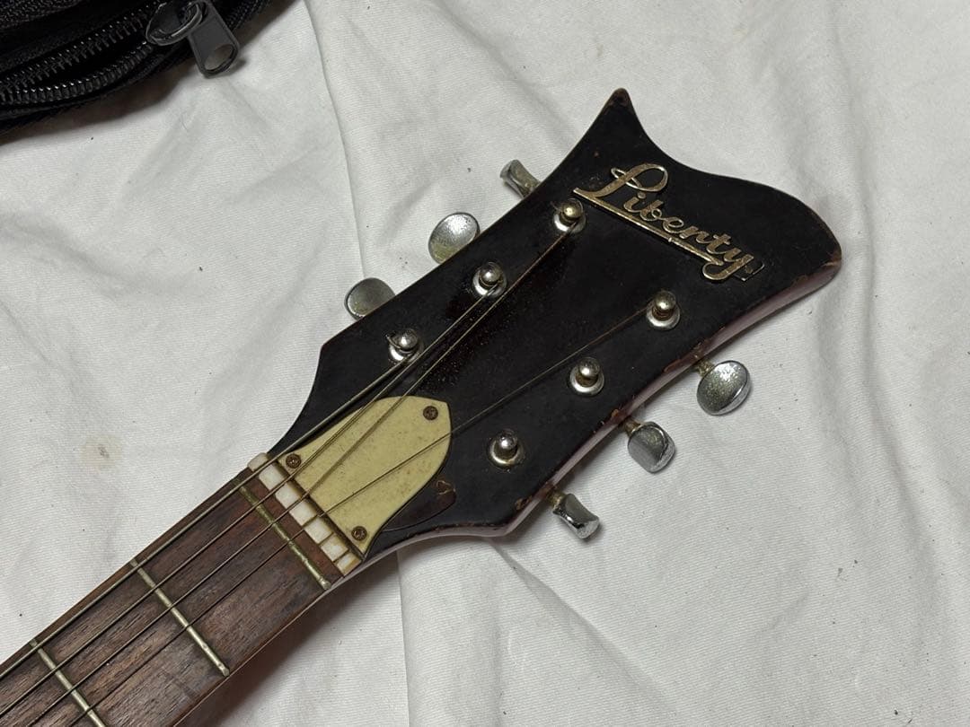 Liberty エレキギター　MT-18ソフトケース付き良品　1904-02-1
