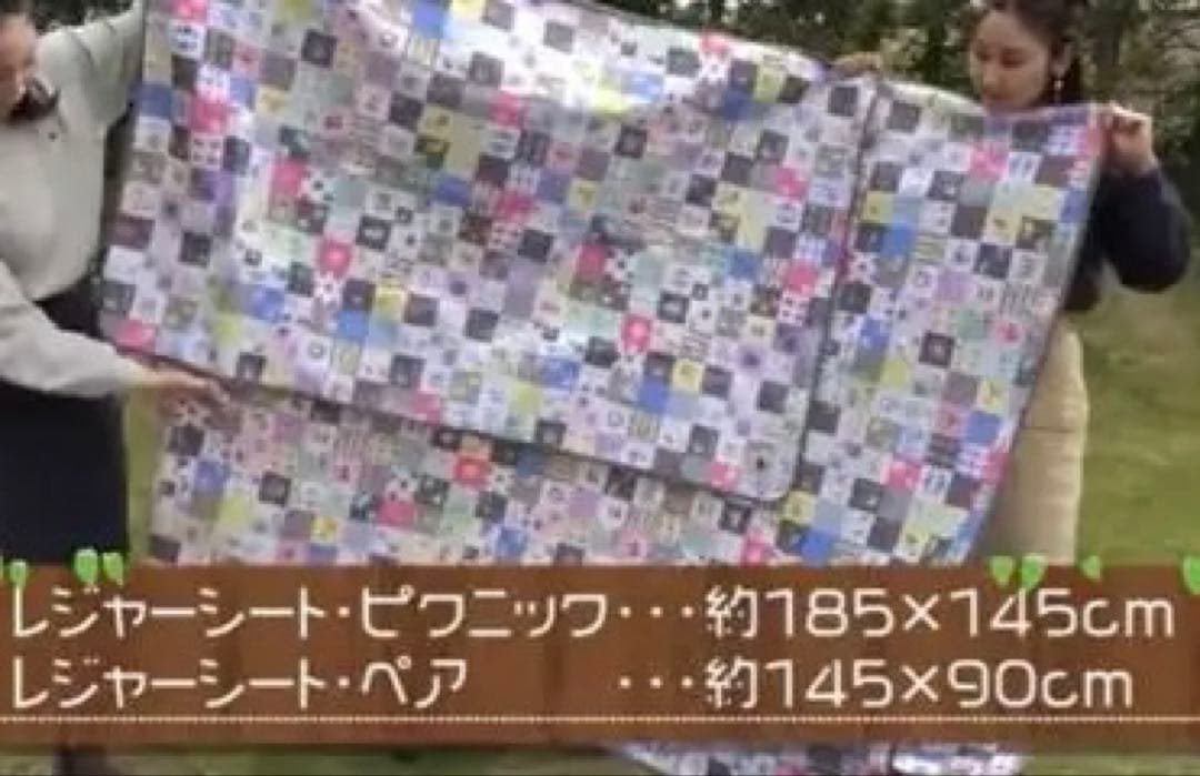 ポケモン logosキャンプ レジャーシート