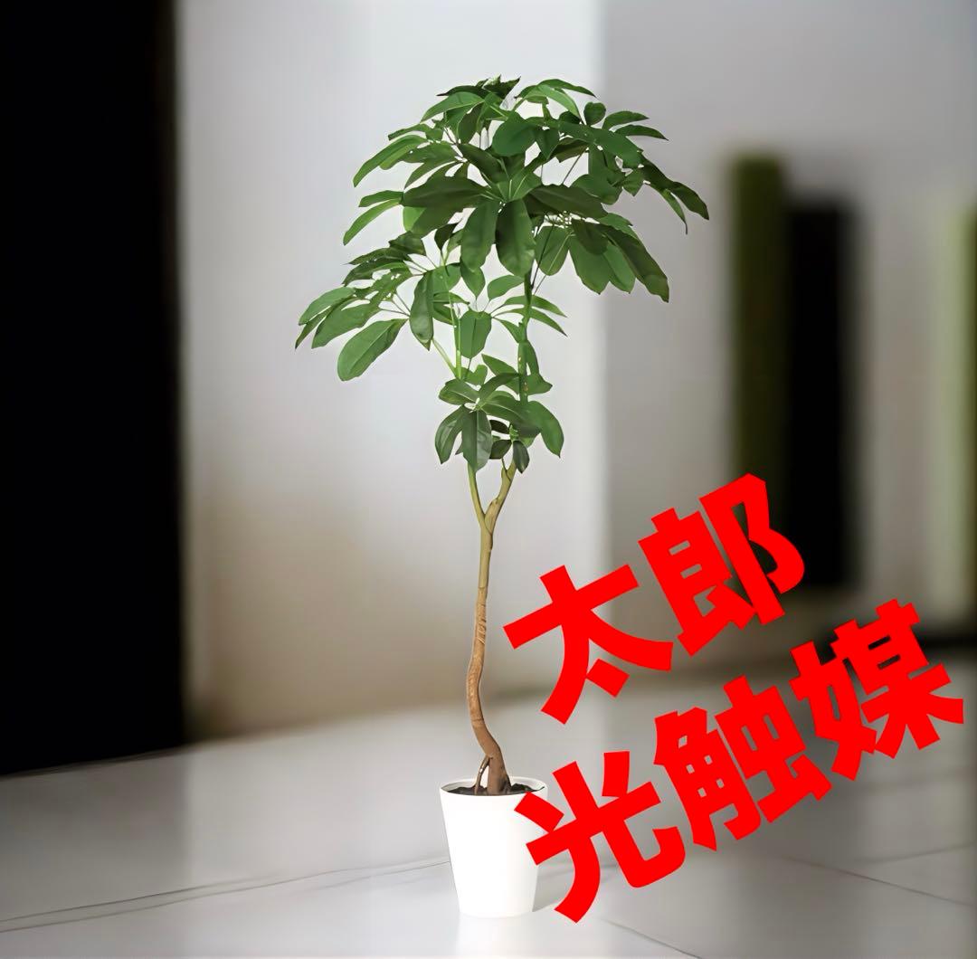 光触媒　人工観葉植物　ウォールグリーン　フェイクグリーン　ブラッサイア210