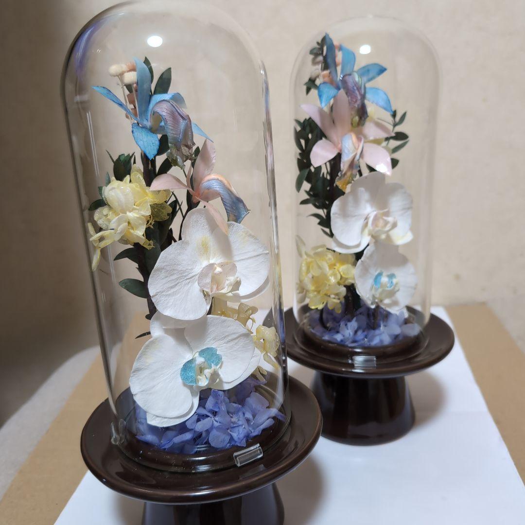 特選仏花　 大　一対 ガラスドーム 胡蝶蘭　カトレア プリザーブドフラワー
