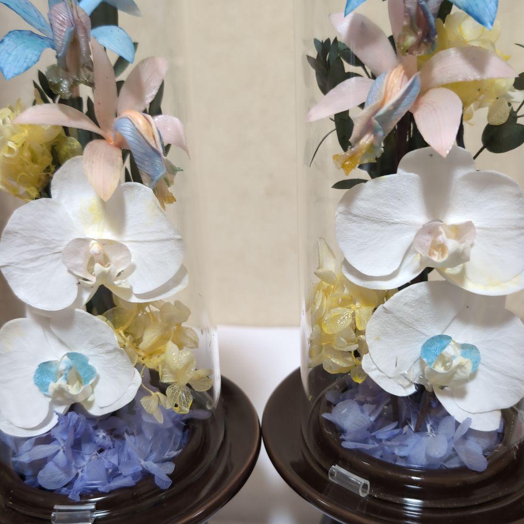 特選仏花　 大　一対 ガラスドーム 胡蝶蘭　カトレア プリザーブドフラワー