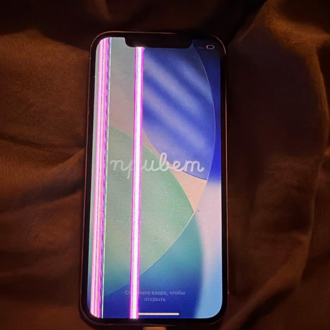 iPhone12 Pro 使用可能　本体