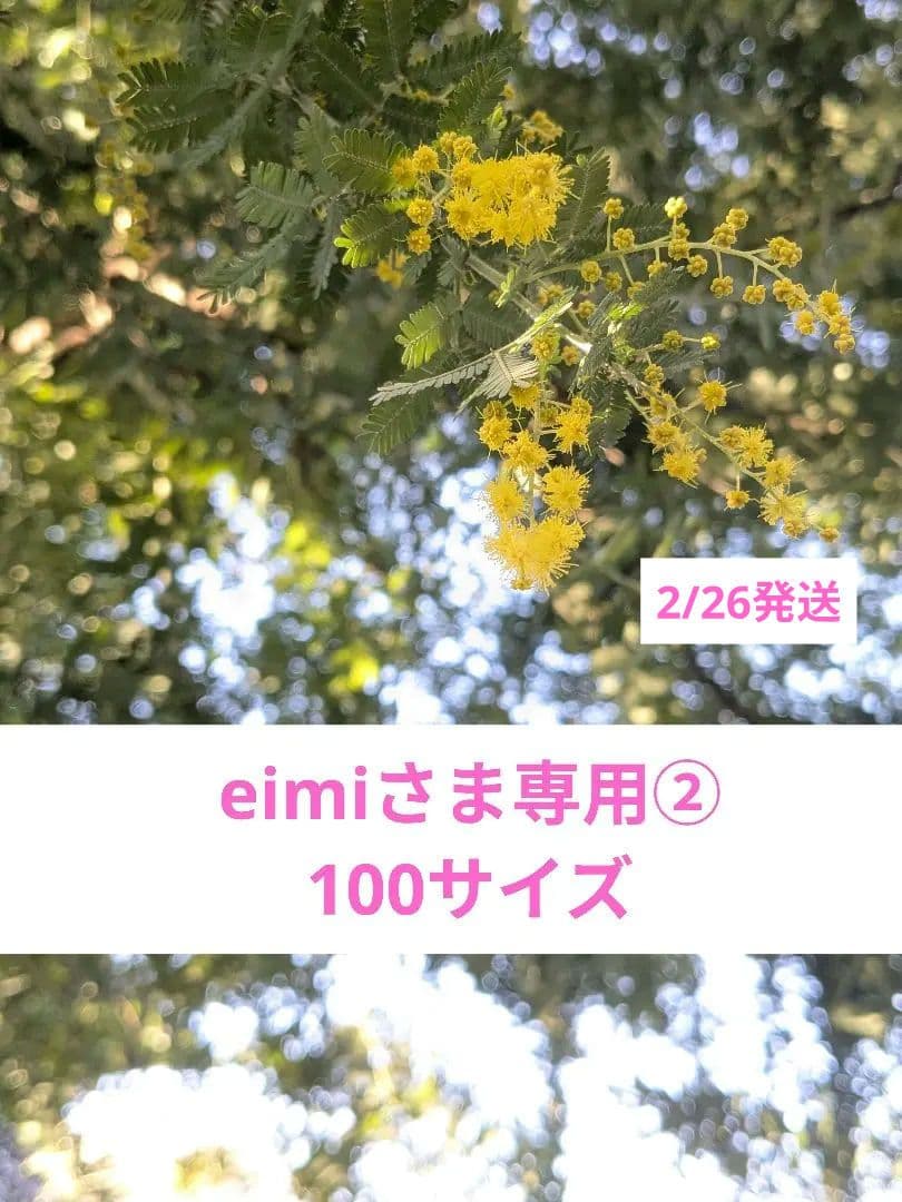 eimiさま専用②✨フレッシュミモザを花束にして(2/26発送)