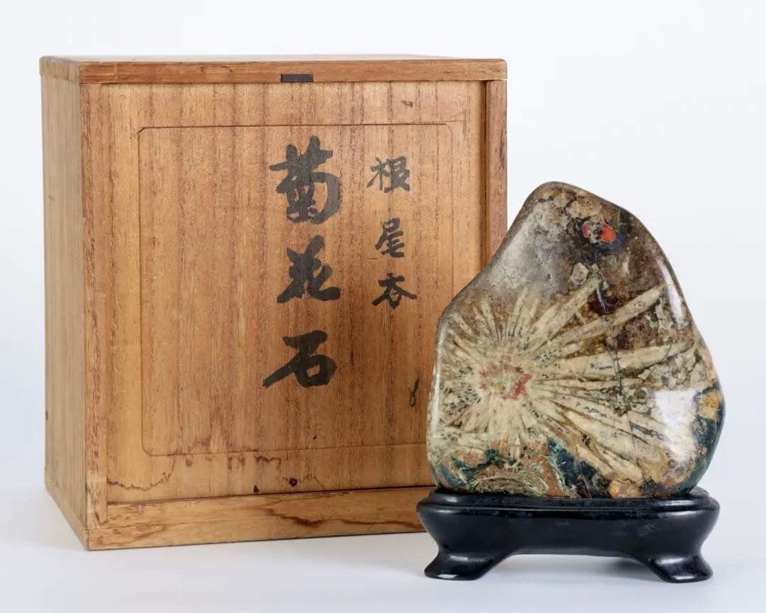 根尾谷 菊花石 サバ菊 八重一輪 紋石 共箱 台座付 872g 鑑賞石 水石