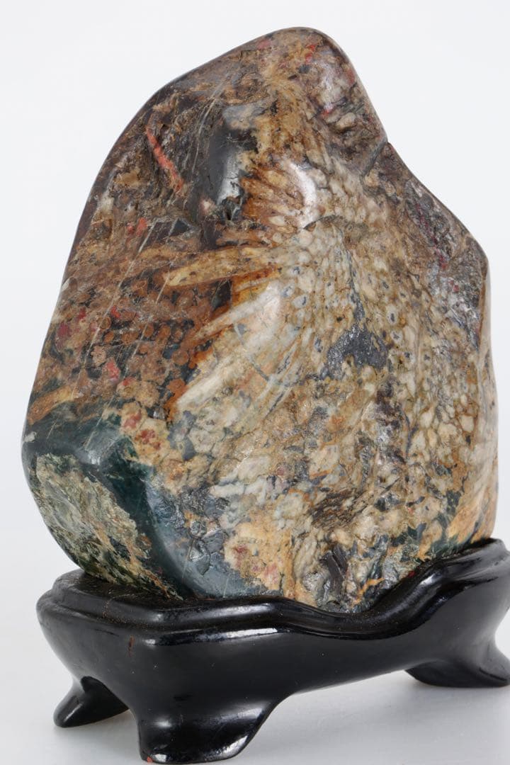 根尾谷 菊花石 サバ菊 八重一輪 紋石 共箱 台座付 872g 鑑賞石 水石