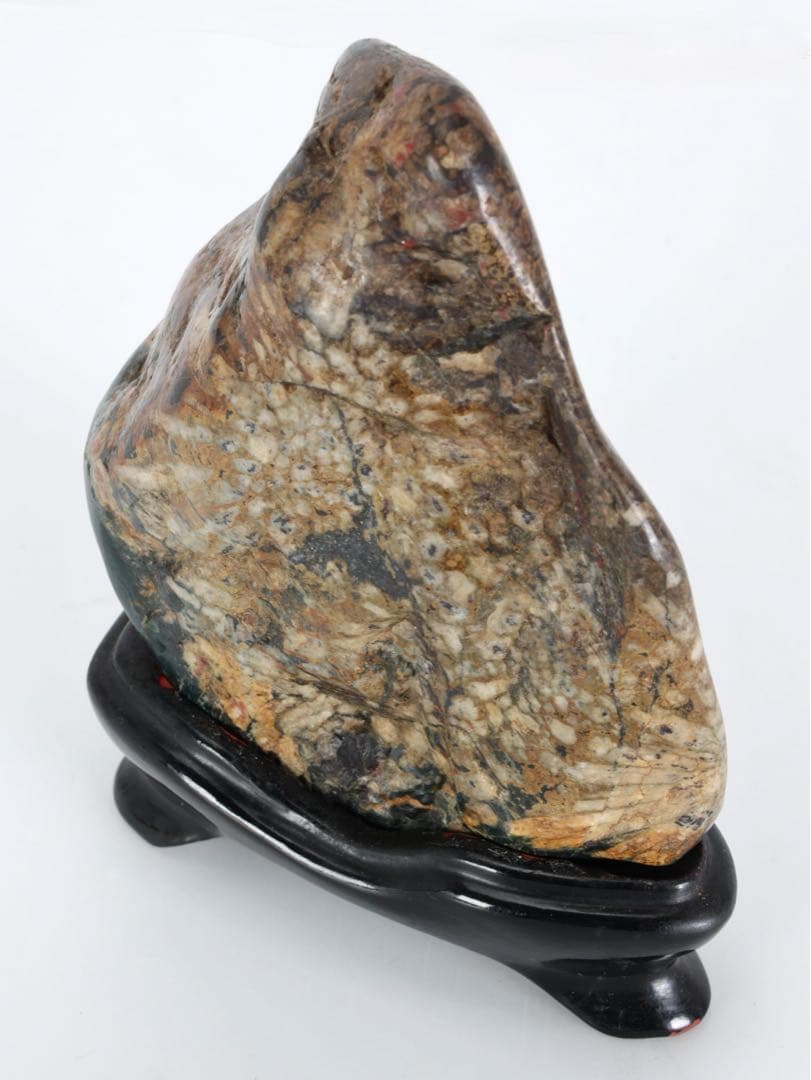 根尾谷 菊花石 サバ菊 八重一輪 紋石 共箱 台座付 872g 鑑賞石 水石