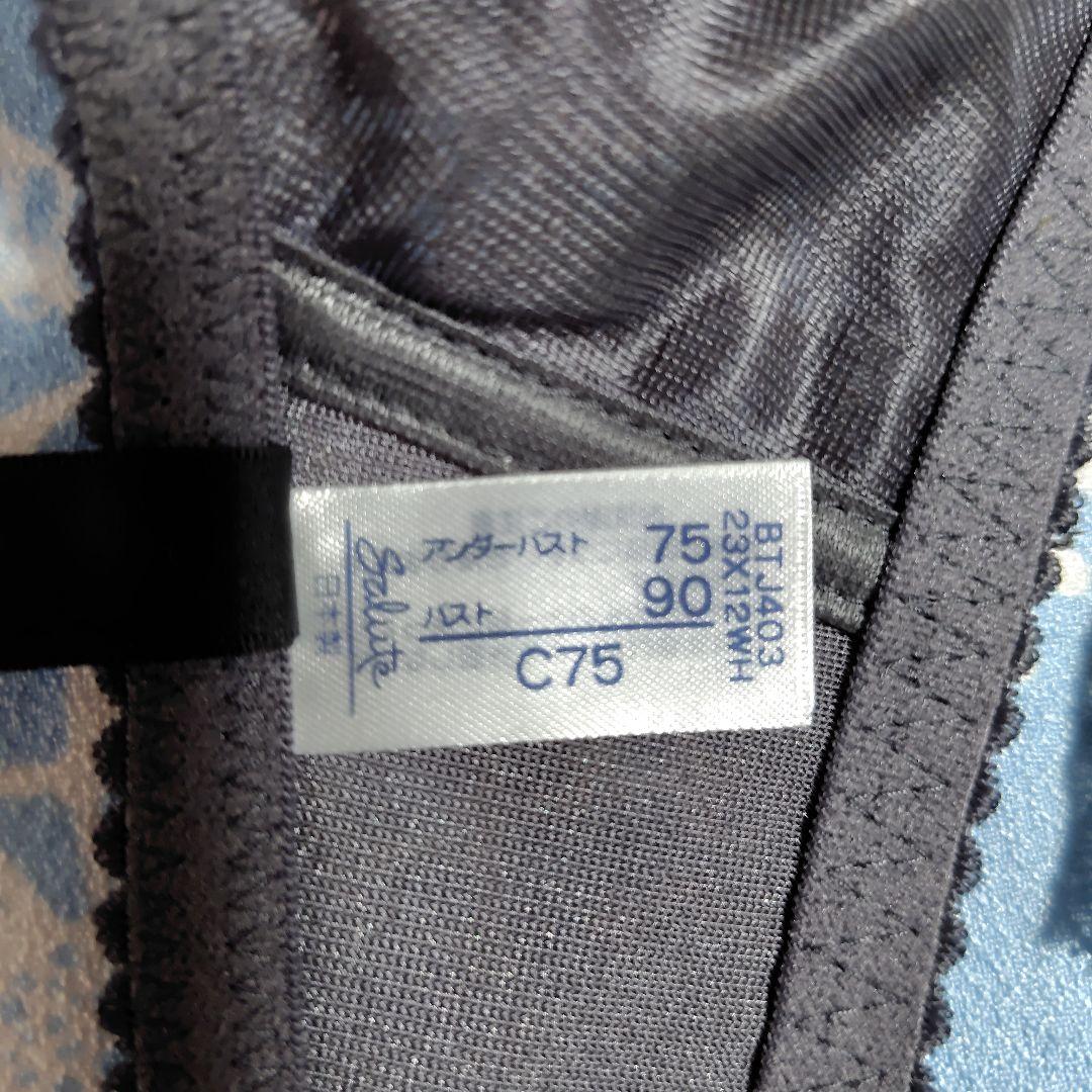 ワコール サルート ブラジャー＆ソング セット 新品　 C 75 ＆ M
