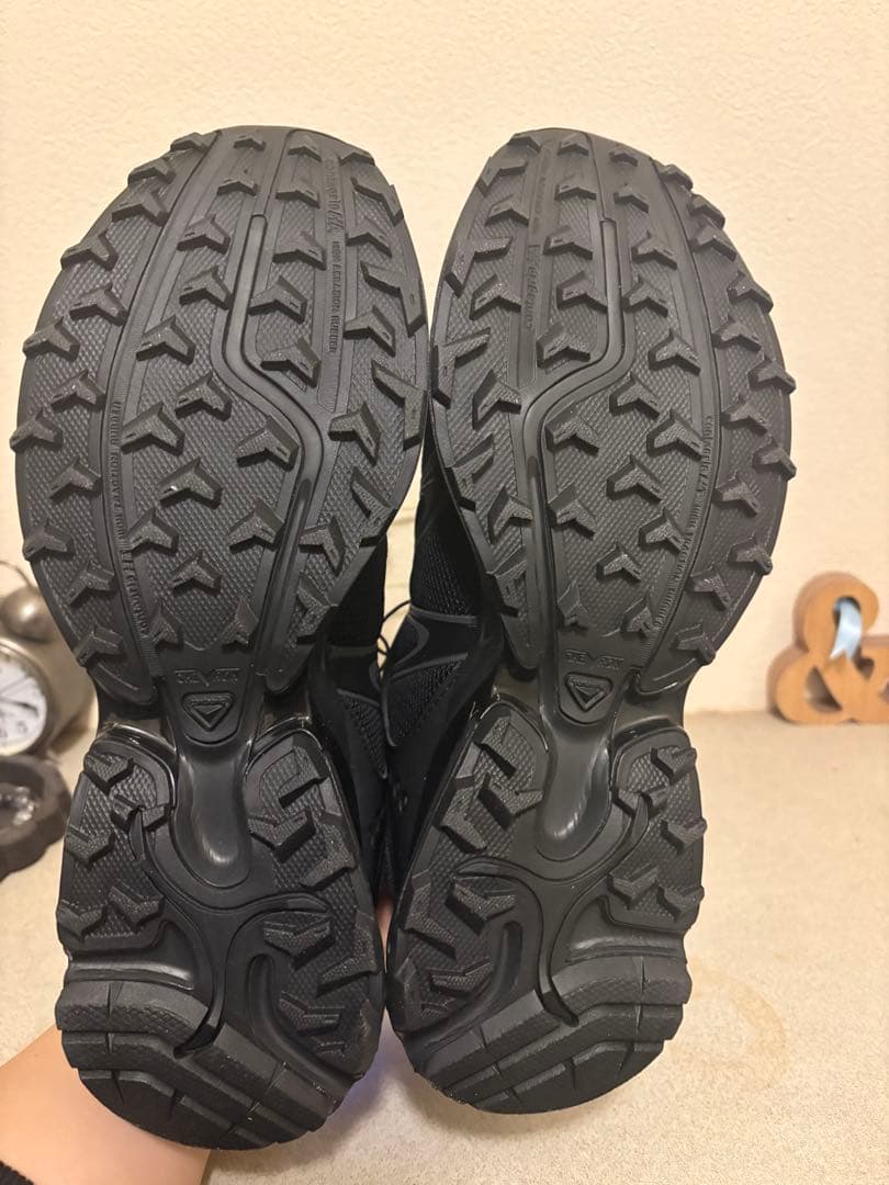 靴 salomon xt-whisper