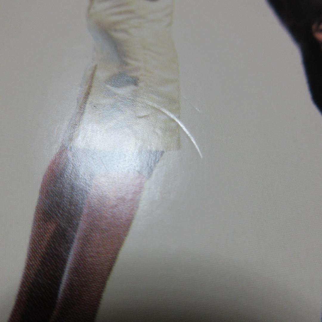 ★ザ・ロネッツ / ビッグ・ヒッツ、レアリティ＆アンリリースド★RONETTES