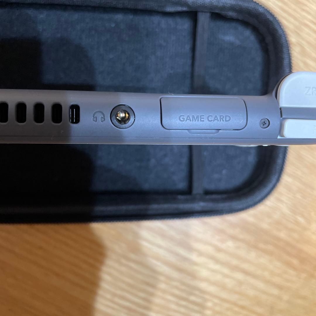 Nintendo Switch Lite グレー本体　動作確認済み　ケース付