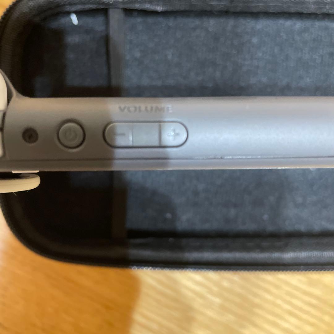 Nintendo Switch Lite グレー本体　動作確認済み　ケース付