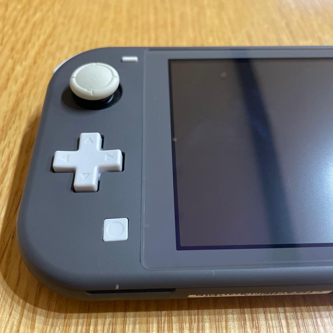 Nintendo Switch Lite グレー本体　動作確認済み　ケース付