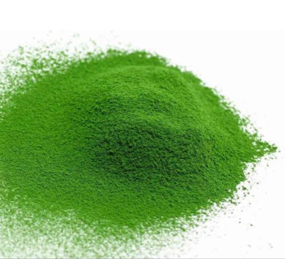 丸久小山園　抹茶　和光　100g×３袋