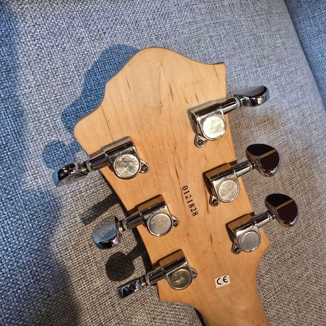 BC Rich モッキンバード FloydRose Licensed