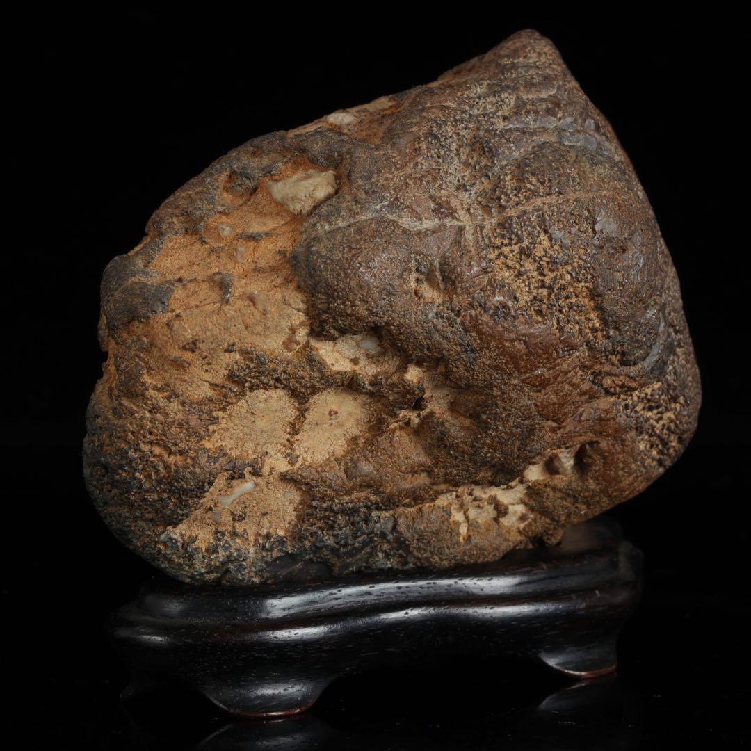 菊花石 紋石 台座 箱付 769g 鑑賞石 原石 自然石 美石 水石 盆石 飾石