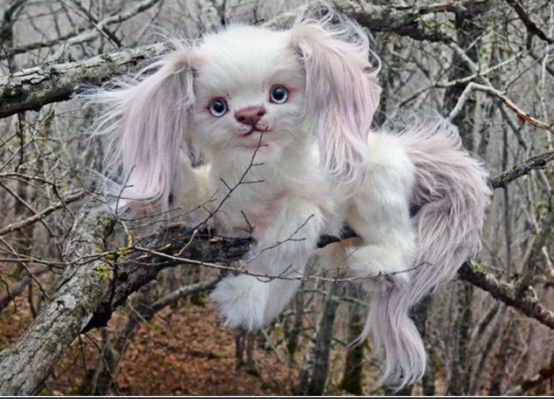 最終価格　海外作家様　ぬいぐるみ　テディベア　白い犬　アートドール