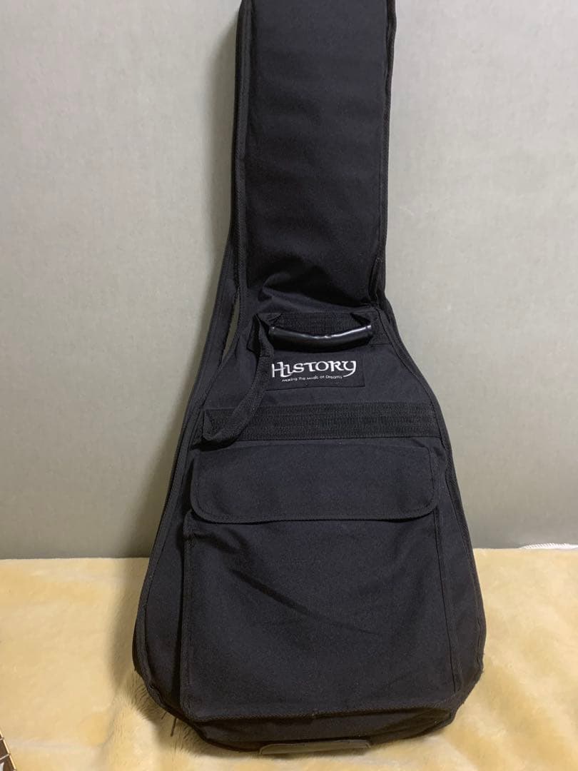 Britz by Aria ProII Leopard les paul タイプ