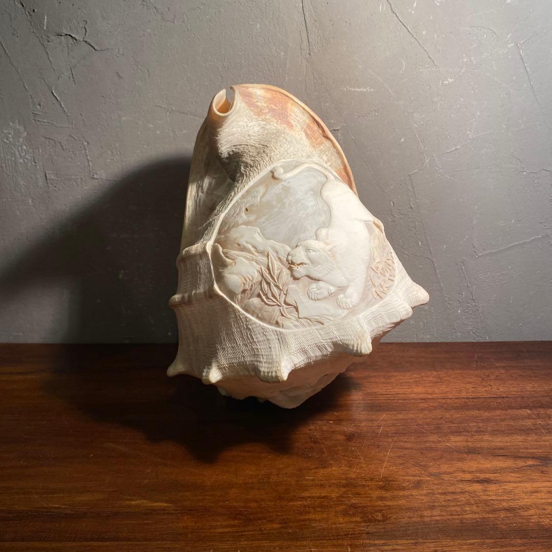トウカムリガイ 彫刻 アート オブジェ 白虎 置物 骨董品 コレクション25cm