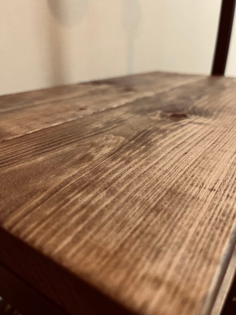 ダクトレール付　植物棚　塊根植物　多肉植物　ボタニカルシェルフ　アイアンシェルフ