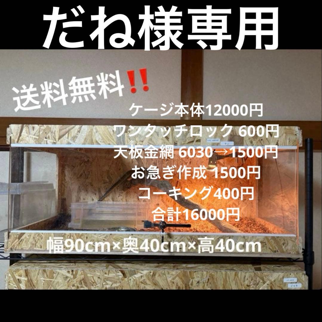 だね　904040 お急ぎ