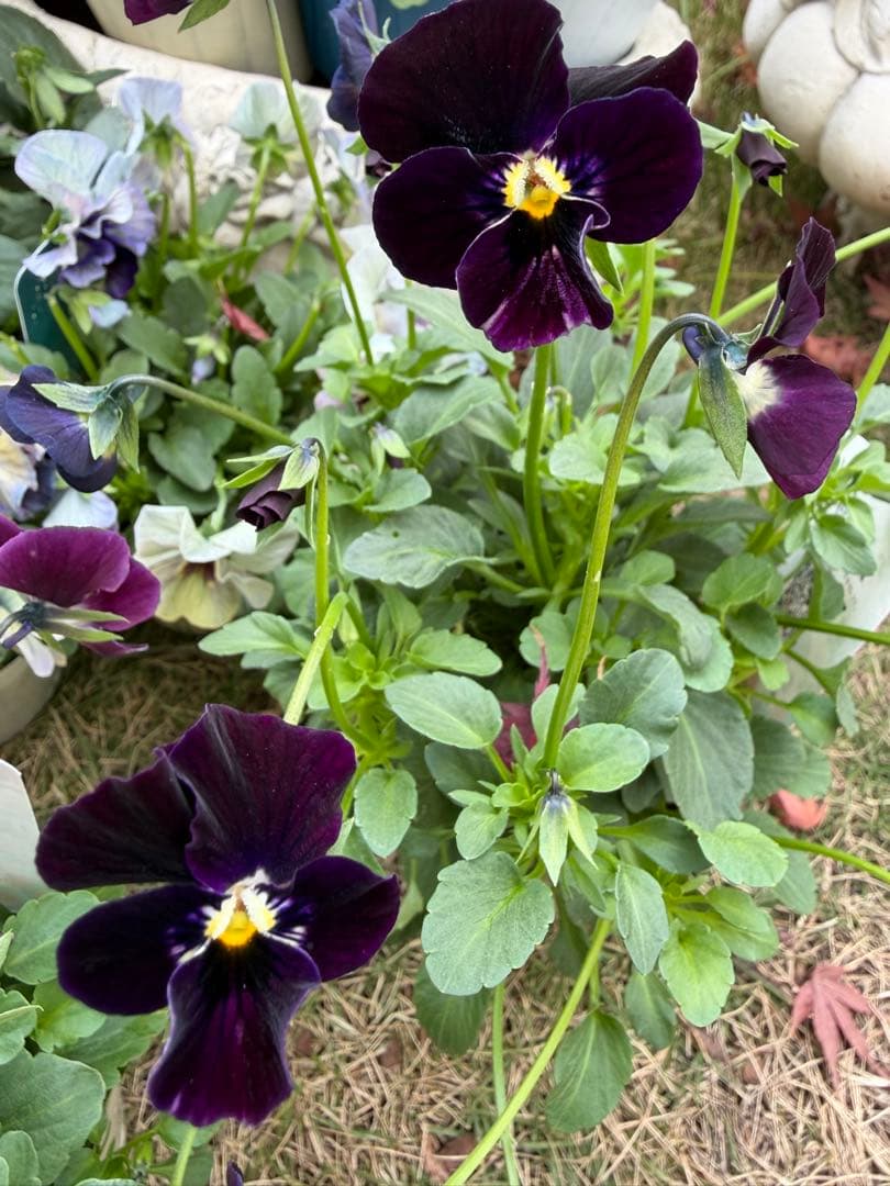 tami様　おまとめ用画面