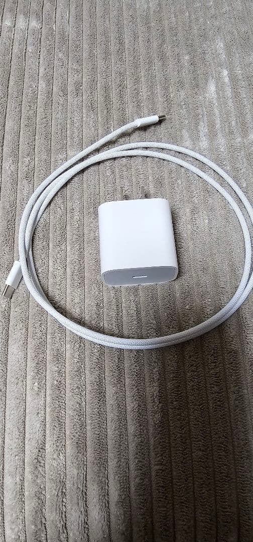 iPad本体 iPad Pro (M5) 11inch 256GB Wi-Fi apple