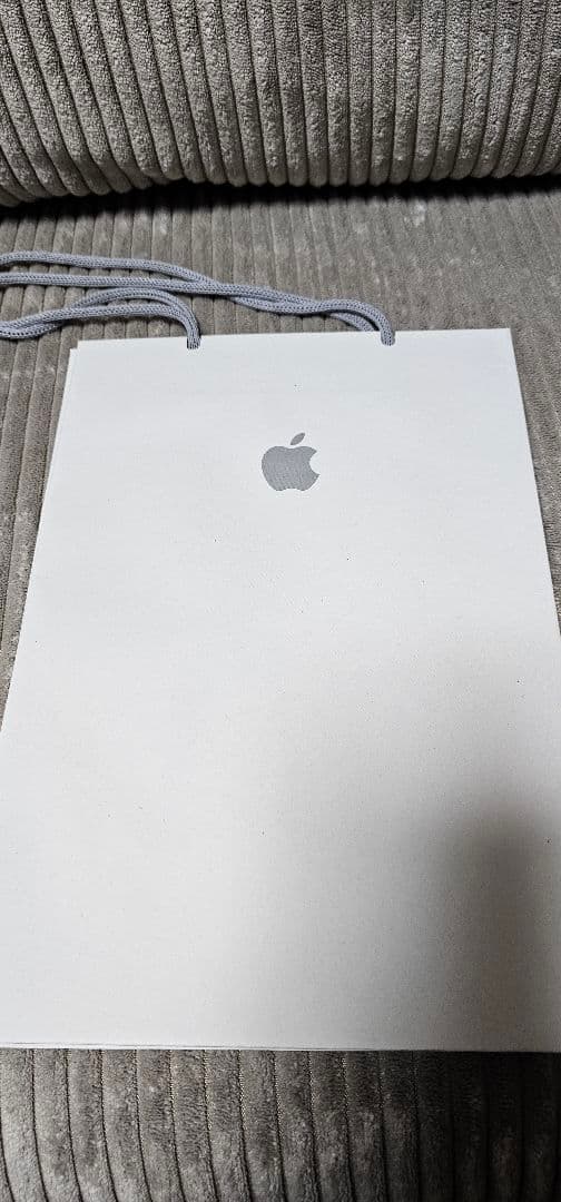 iPad本体 iPad Pro (M5) 11inch 256GB Wi-Fi apple