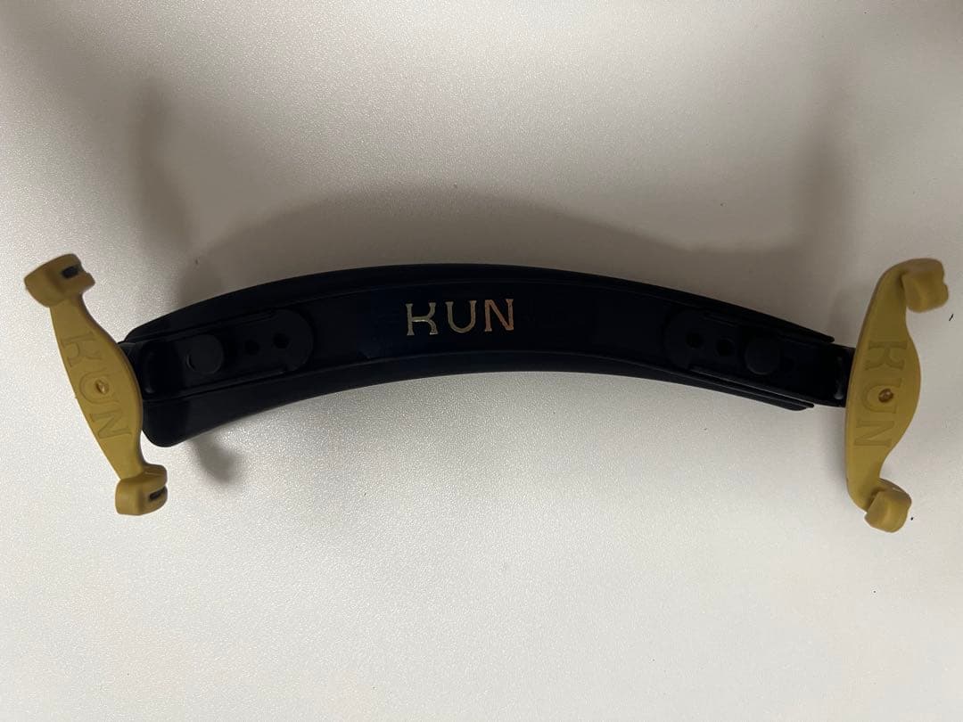 Eastman SVL80セット 4/4 バイオリン 初心者セット イーストマン