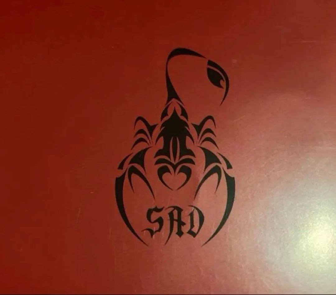 ★ SADISTIC AND DANGEROUS 清春　スカルボーンバングル★