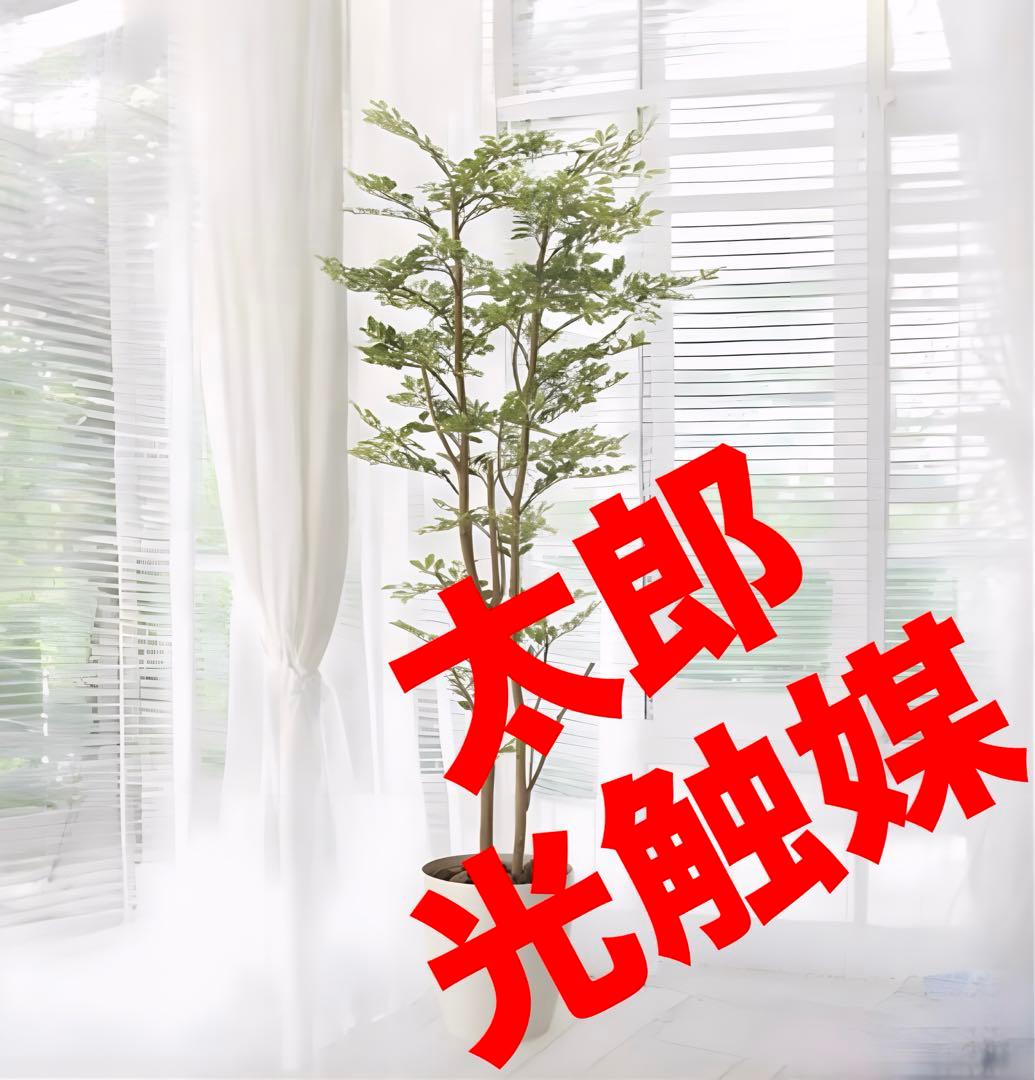 光触媒　人工観葉植物　フェイクグリーン　ゴールデンリーフ 高さ 1.6ｍ