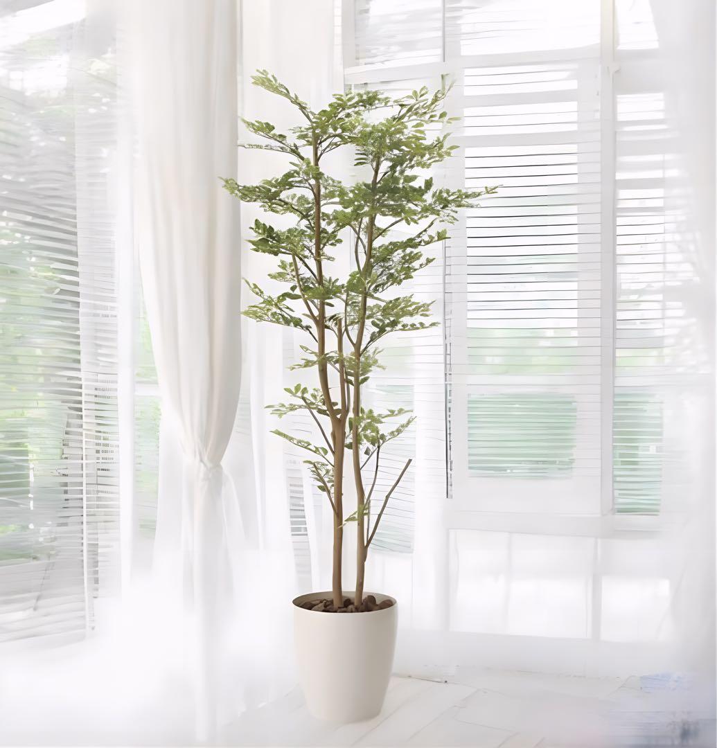 光触媒　人工観葉植物　フェイクグリーン　ゴールデンリーフ 高さ 1.6ｍ