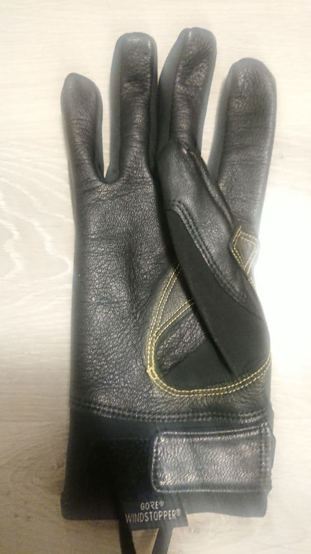 ★JIN アークテリクスAlpha SL Glove