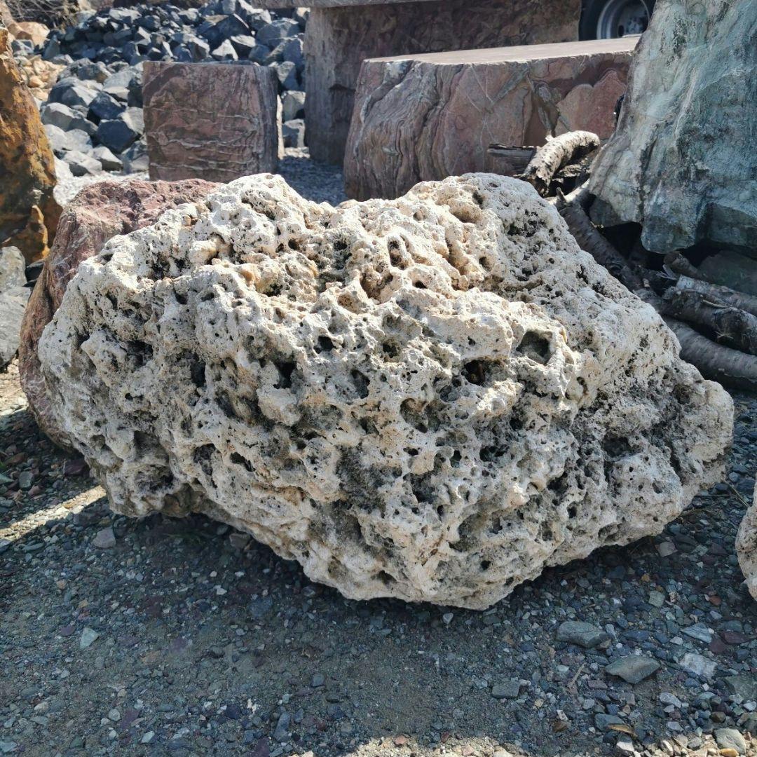 サンゴ石　119キロ　庭石　石　鑑賞石 石材　庭　ガーデニング　置物　オブジェ