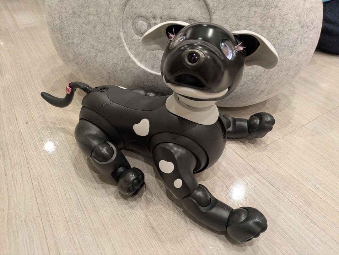 まきぴ〜★aiboエスプレッソエディション、服その他セット