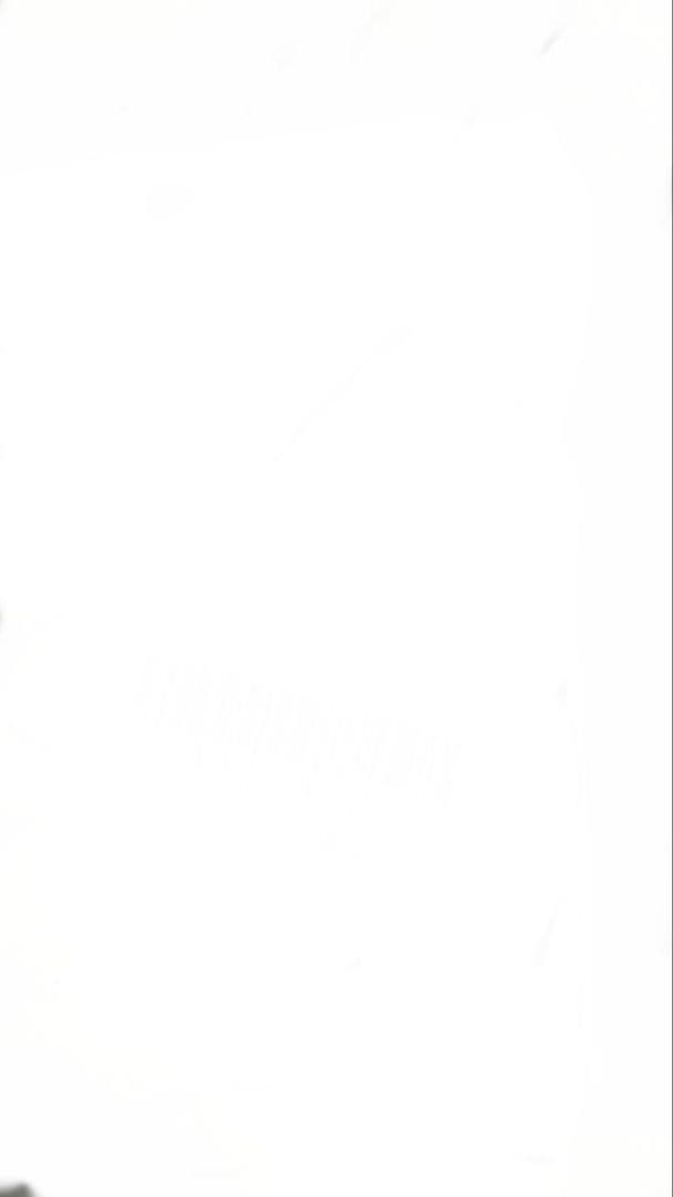 レッドクリスタリナム×レッドクリスタリナム大株