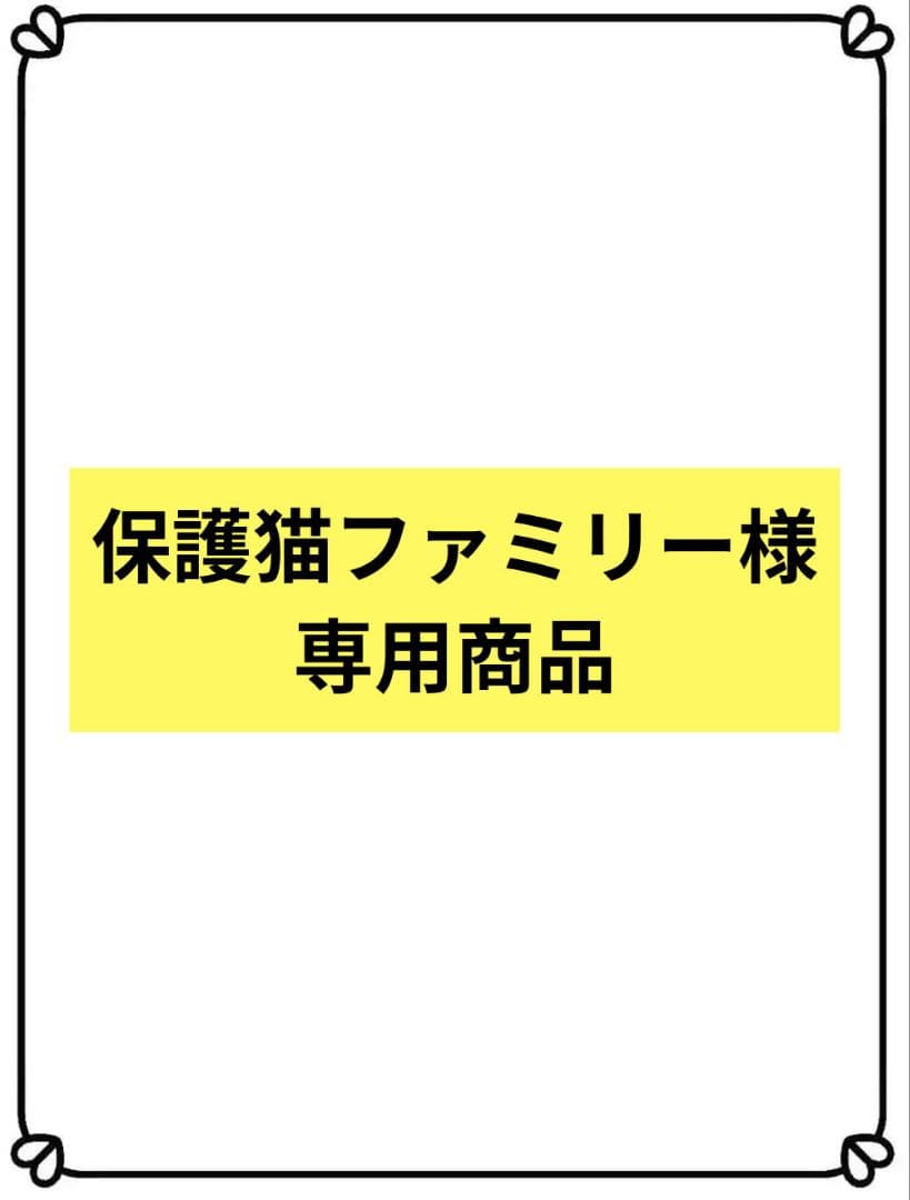 1-保護猫ファミリー商品　花サボテン