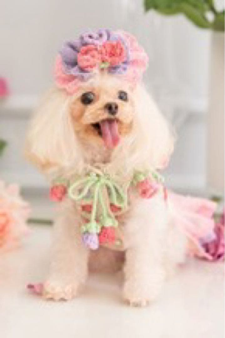 【 半額以下】【Pet a Portre (ペット ア ポルテ) 】ニットドレス