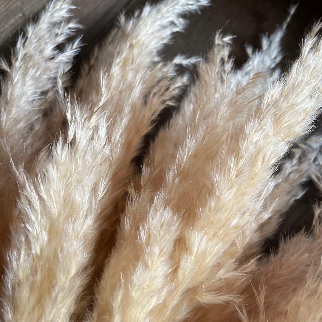 12月分専用ページ　240本