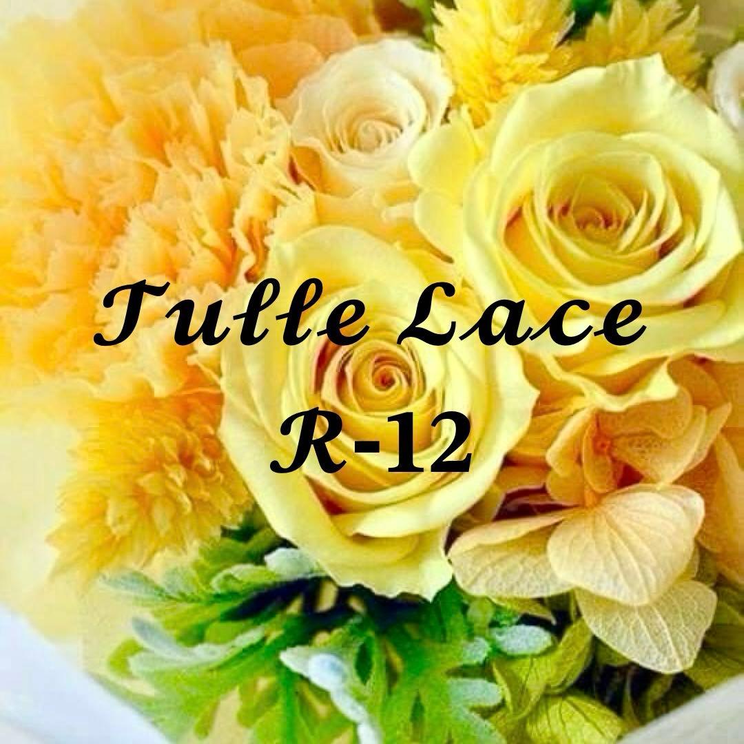 チュールレース一覧 R-12