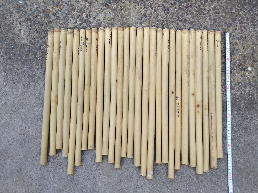 篠竹 女竹 ケーナ材 27本