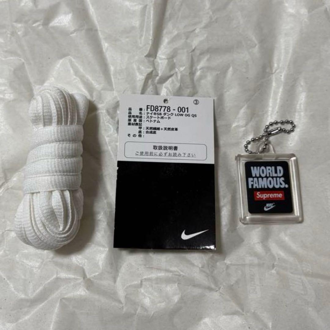 Supreme × Nike SB Dunk Low \"Rammellzee\"
