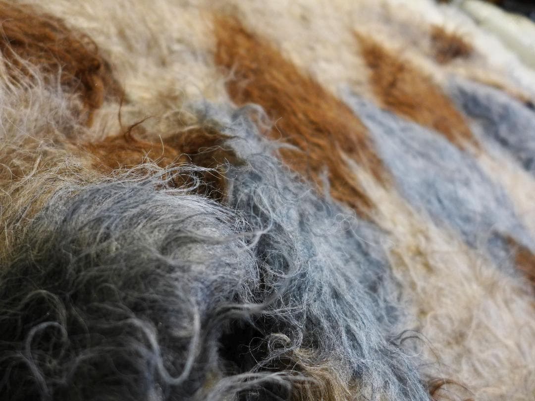 barnsカーディガンLカートコバーンneedlesタウンクラフトcalee