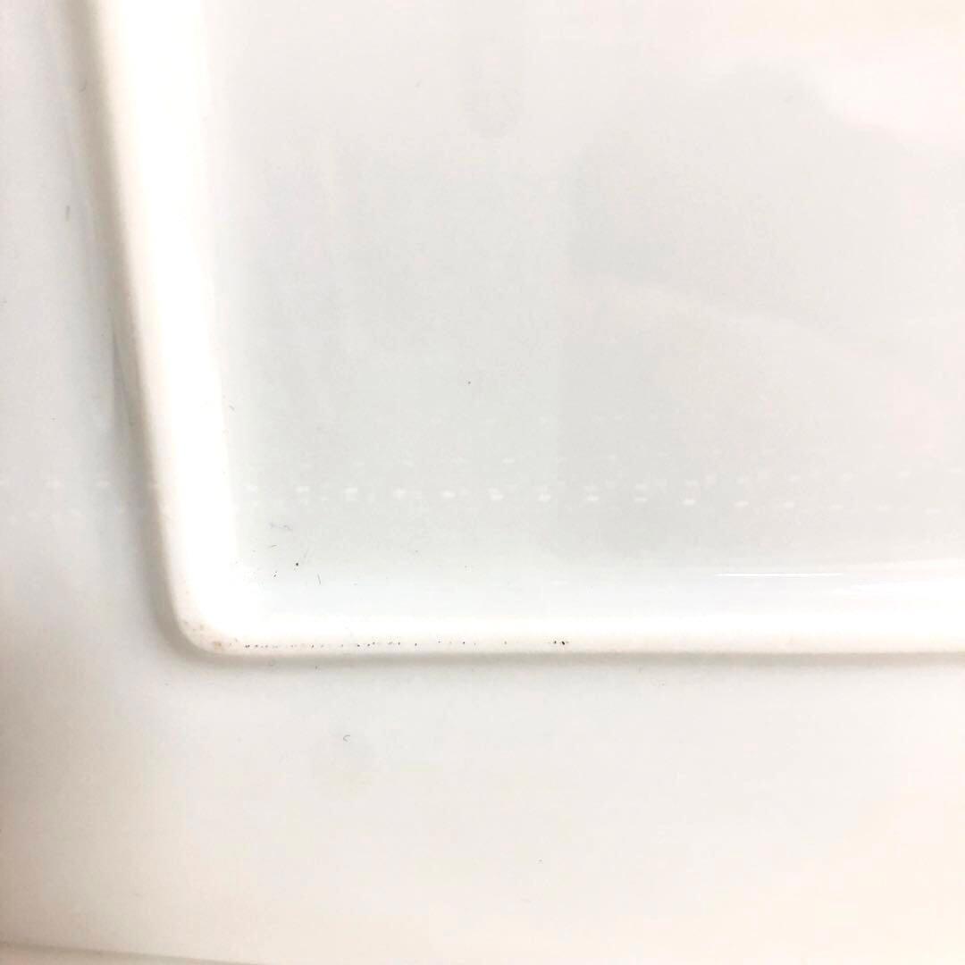 リチャードジノリ　スクエアプレート　オリーヴァ　ミナペルホネンコラボ